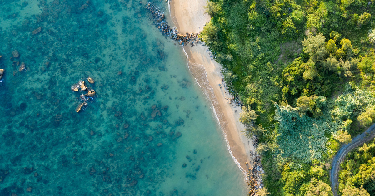 Expert working group appointed for Future Earth Australia’s strategy on sustainable oceans and coasts